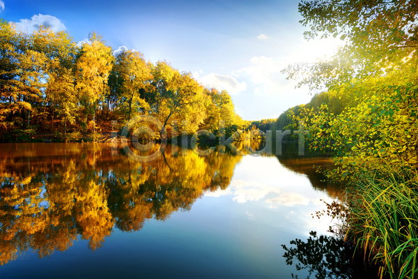 사람없음 JPG 포토 해외이미지 가을(계절) 가을풍경 나무 맑음 반사 야외 우크라이나 자연 주간 하늘 해외202004 햇빛 호수