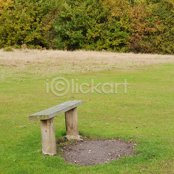 사람없음 JPG 포토 해외이미지 10월 11월 가을(계절) 갈색 공원 나무 목재 벤치 시골 야외 영국 오렌지 잉글랜드 정사각형 초록색 풍경(경치) 해외202004