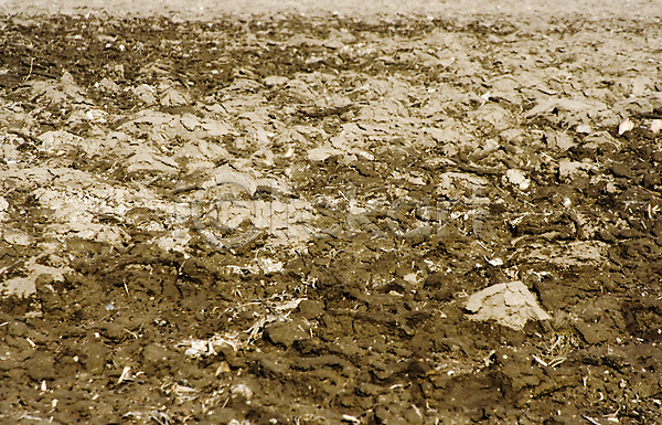 사람없음 JPG 포토 해외이미지 갈색 경작 계절 낟알 내추럴 농경지 농업 농작물 농장 땅 땅바닥 먼지 모래 밭 백그라운드 부식 수확 시골 식물 옥수수 원예 자연 자원 쟁기 정원 줄기 줄서기 지구 진흙 질감 패턴 해외202004 환경 흙