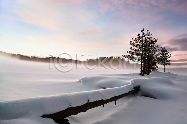 추위 사람없음 JPG 포토 해외이미지 겨울 구름(자연) 나무 냉동 물 빨간색 서리 숲 안개 야외 오렌지 일몰 일출 자연 태양 파란색 풍경(경치) 하늘 해외202004 호수 황무지