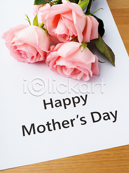 감사 사랑 사람없음 JPG 포토 해외이미지 레터링 백그라운드 분홍색 어머니의날 장미 종이 해외202004