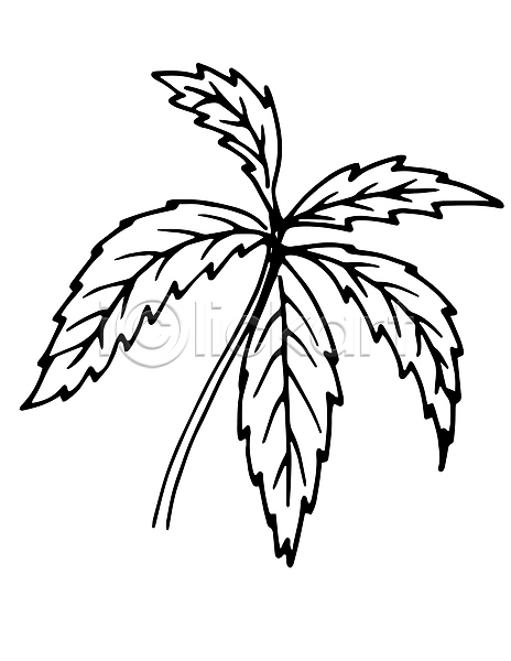 사람없음 JPG 포토 해외이미지 그림 나무 나뭇가지 디자인 백그라운드 손 수채화(물감) 숲 식물 잎 자연 정원 조경 해외202004