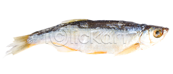 건조 준비 사람없음 JPG 포토 해외이미지 1 고립 눈금 동물 민물 백그라운드 싱글 어류 음식 작음 절임 짠맛 해외202004 해외포토 흰색