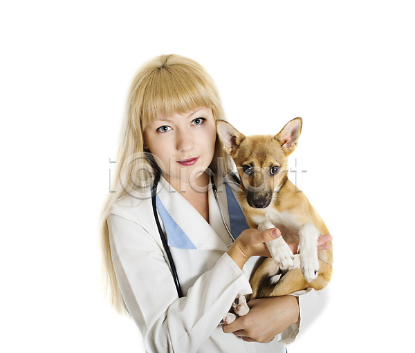한명 JPG 포토 해외이미지 강아지 개 고립 돌봄 반려동물 빨간색 수의사 약 의사 작음 청진기 해외202004