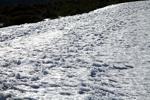 추위 사람없음 JPG 포토 해외이미지 겨울 냉동 산 스페인 시골 야외 얼음 유럽 자연 풍경(경치) 해외202004 흰색
