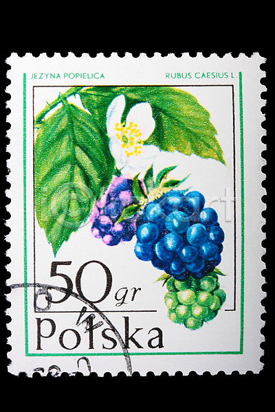 사람없음 JPG 포토 해외이미지 과일 광택 그림 수집 열매 우표 인쇄 취미 해외202004