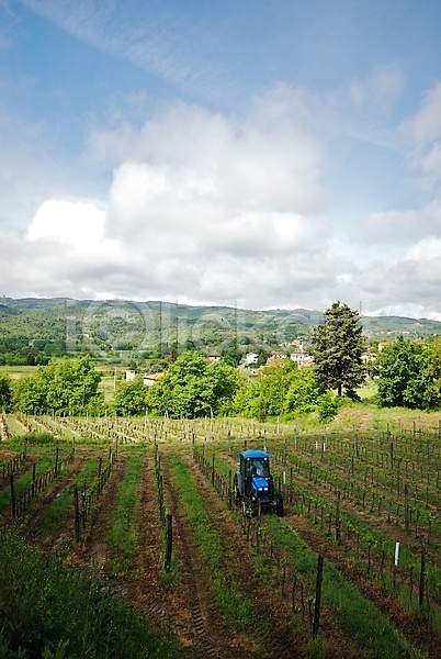 사람없음 JPG 포토 해외이미지 계곡 구름(자연) 나무 마을 와인 이탈리아 토스카나 트랙터 해외202004