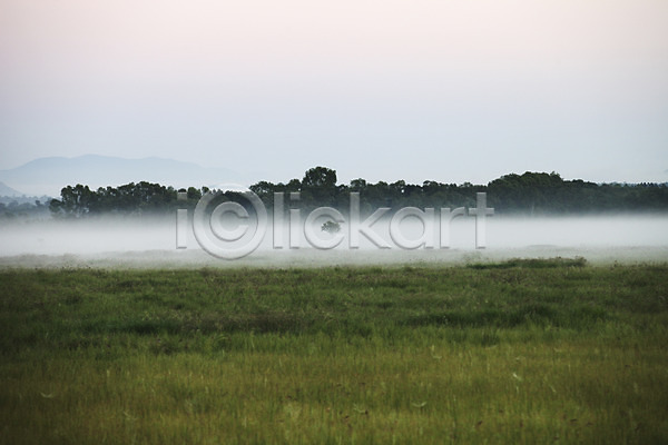 사람없음 JPG 포토 시드니 안개 야외 오세아니아 자연 잔디 주간 풍경(경치) 해외 호주