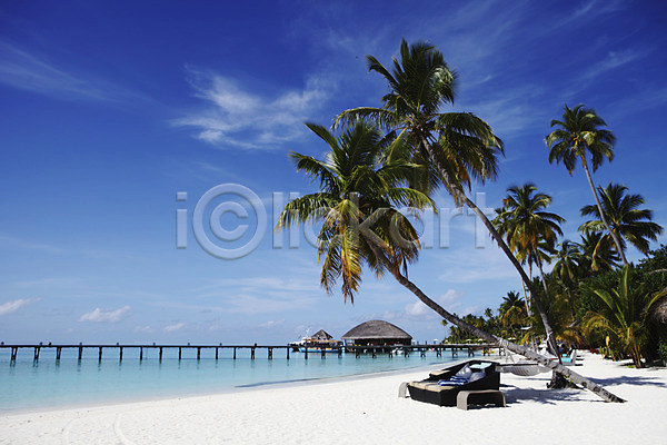 사람없음 JPG 포토 모래사장 몰디브 아시아 야외 야자수 주간 풍경(경치) 해먹 해변 해외