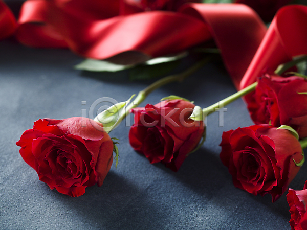 사람없음 JPG 아웃포커스 포토 해외이미지 리본 발렌타인데이 빨간색 오브젝트 장미