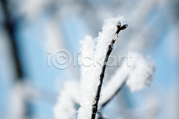 사람없음 JPG 포토 해외이미지 겨울 겨울풍경 나뭇가지 상고대 야외 주간 풍경(경치) 해외202004