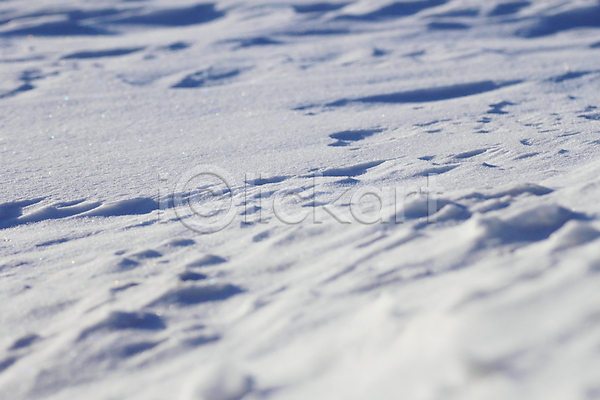 추위 사람없음 JPG 포토 해외이미지 겨울 계절 내추럴 냉동 눈내림 밭 백그라운드 수평선 야외 얼음 자연 해외202004 흰색