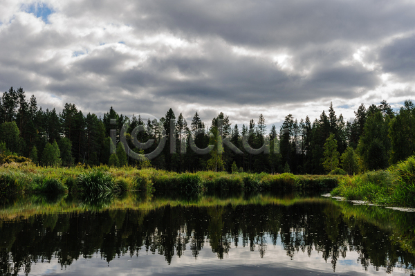 사람없음 JPG 포토 해외이미지 강 구름(자연) 나무 물 반사 숲 야외 주간 풍경(경치) 하늘 해외202004 호수 흐림
