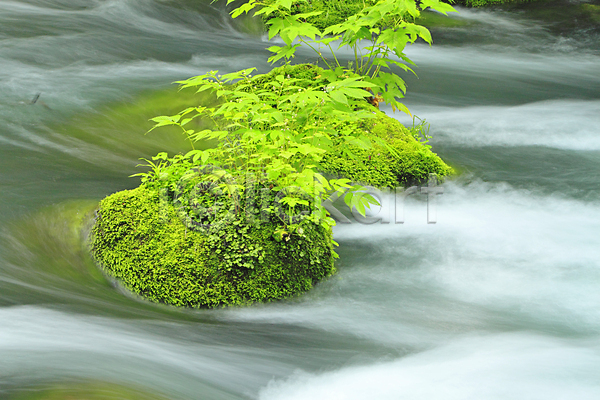 사람없음 JPG 포토 해외이미지 광선 나무 물 일본 자연 초록색 폭포 해외202004 햇빛 힘