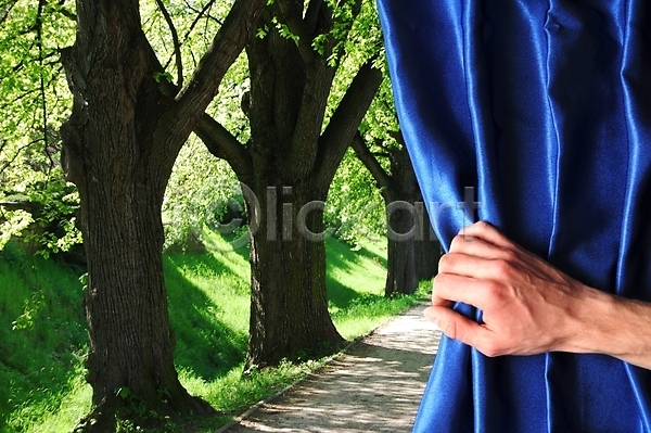 자유 사람없음 JPG 포토 해외이미지 가을(계절) 공원 나무 목재 무료 숲 시골 신용카드 야외 여름(계절) 인사 창문 초록색 커튼 컨셉 파란색 풍경(경치) 해외202004