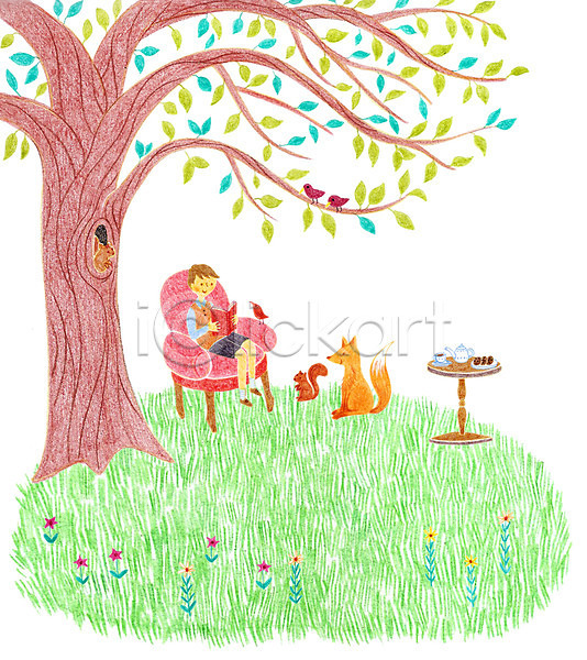 남자 어린이 한명 PSD 일러스트 꽃 나무 나뭇잎 다람쥐 독서 동물 여우 의자 조류 주전자 책 탁자