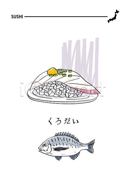 사람없음 AI(파일형식) 일러스트 도미 도미초밥 먹도미 음식 일본어 일본음식 일식집 초밥 해산물