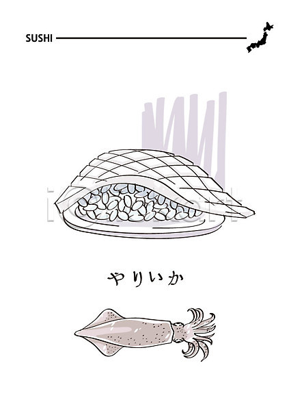 사람없음 AI(파일형식) 일러스트 오징어 음식 일본어 일본음식 일식집 초밥 해산물 화살오징어