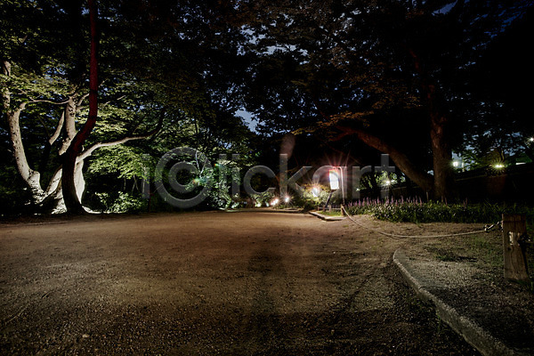 사람없음 JPG 포토 건축 공원 궁전 나무 서울 야간 야경 야외 전통 조명 종로 창경궁