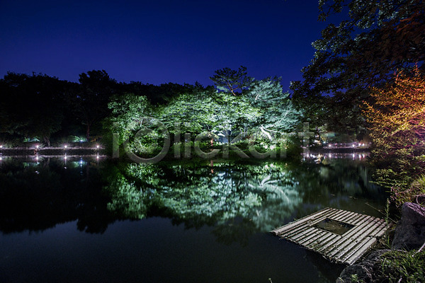사람없음 JPG 포토 건축 궁전 나무 서울 야간 야경 야외 전통 조명 종로 창경궁 호수