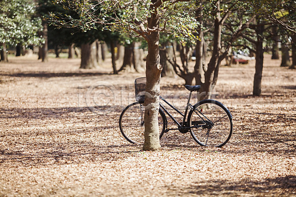 사람없음 JPG 포토 공원 기댐 나무 도쿄 배경화면 백그라운드 야외 일본 자전거 주간 한대