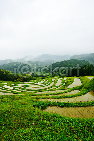 사람없음 JPG 포토 논 농사 농업 농촌 모내기 야외 일본 주간 풍경(경치)