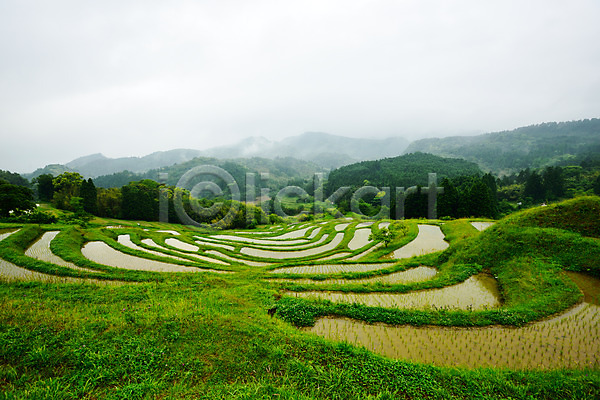 사람없음 JPG 포토 논 농사 농업 농촌 모내기 야외 일본 주간 풍경(경치)