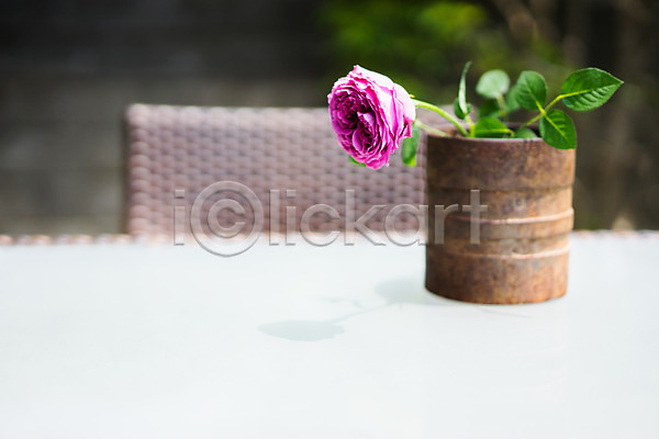 사람없음 JPG 포토 꽃 배경화면 백그라운드 부식 야외 일본 주간 탁자 한송이 화분