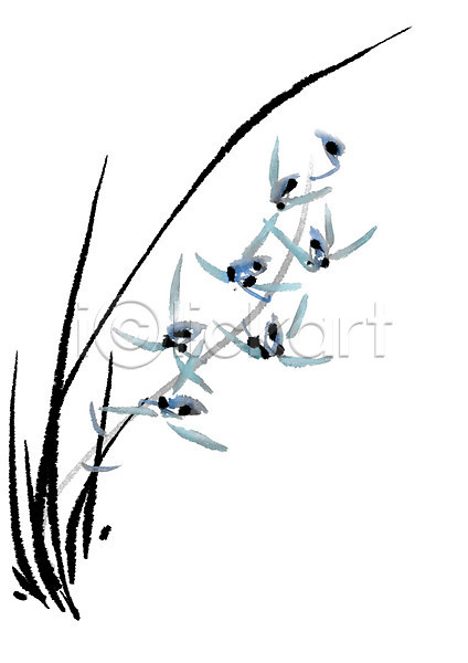 사람없음 PSD 일러스트 꽃 난초 난초꽃 식물 여러송이 캘리그라피 파란색