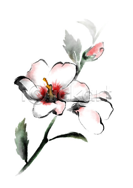 사람없음 PSD 일러스트 꽃 꽃봉오리 나라꽃 무궁화 빨간색 세송이 식물 줄기 캘리그라피 흰색