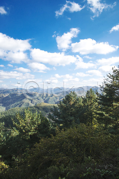 사람없음 JPG 포토 가을(계절) 가을풍경 구름(자연) 나무 민둥산 백그라운드 산 야외 자연 정선 주간 풍경(경치) 하늘