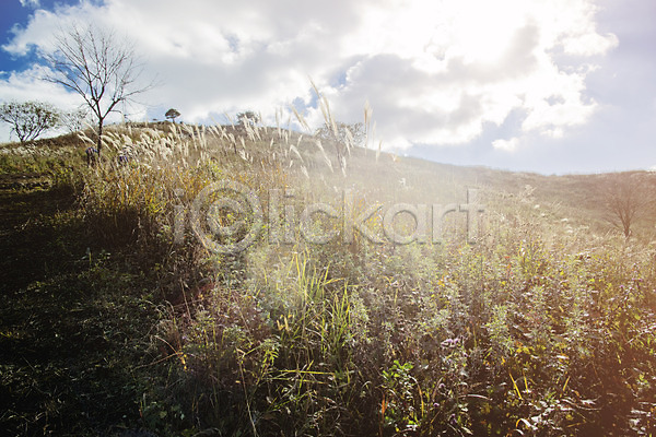 사람없음 JPG 포토 가을(계절) 가을풍경 구름(자연) 민둥산 백그라운드 산 야외 억새 자연 정선 주간 풍경(경치) 하늘