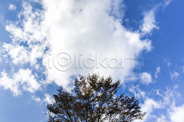 사람없음 JPG 포토 가을(계절) 가을풍경 구름(자연) 나무 민둥산 백그라운드 야외 자연 정선 주간 풍경(경치) 하늘