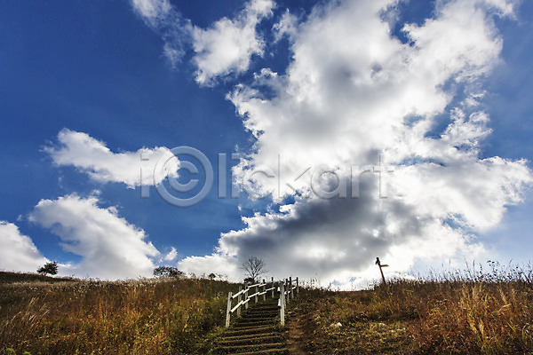 사람없음 JPG 포토 가을(계절) 가을풍경 구름(자연) 길 나무울타리 민둥산 백그라운드 산 야외 억새 자연 정선 주간 풍경(경치) 하늘