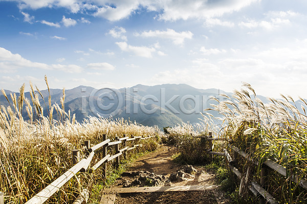 사람없음 JPG 포토 가을(계절) 가을풍경 길 나무울타리 민둥산 백그라운드 산 야외 억새 자연 정선 주간 풍경(경치)