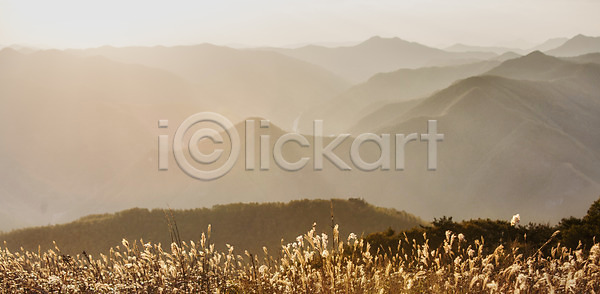 사람없음 JPG 포토 가을 가을풍경 국내포토 민둥산 백그라운드 산 야외 억새 자연 정선 주간 풍경