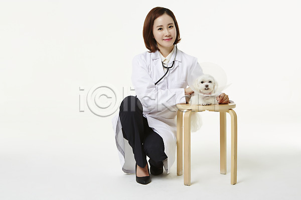 도움 동물보호 보호 사랑 30대 성인 성인여자한명만 여자 여자만 한국인 한명 JPG 앞모습 포토 강아지 말티즈 반려 수의사 스튜디오촬영 실내 앉기 우먼라이프 의사가운 의자 전신 펫팸족 한마리
