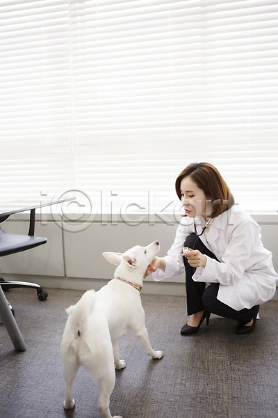 도움 동물보호 보호 사랑 30대 성인 성인여자한명만 여자 여자만 한국인 한명 JPG 앞모습 포토 강아지 동물병원 반려 수의사 스튜디오촬영 스피츠 실내 앉기 우먼라이프 의사가운 전신 진료 펫팸족 한마리