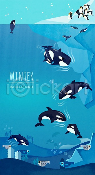 사람없음 PSD 일러스트 겨울 겨울배경 눈 동물 바다 백그라운드 범고래 빙하 야외 어류 자연물 펭귄 해조류