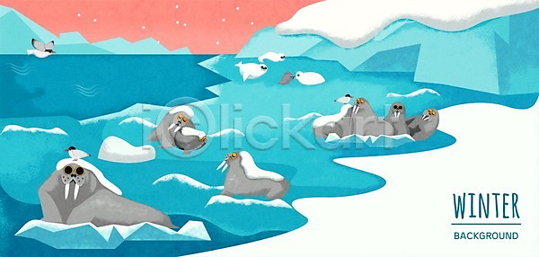 사람없음 PSD 일러스트 겨울 겨울배경 눈 동물 바다 바다코끼리 백그라운드 빙하 야외 자연물 조류 하프물범
