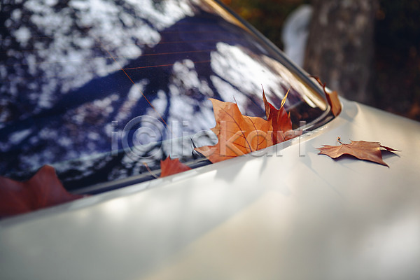 사람없음 JPG 포토 가을(계절) 낙엽 단풍 서울 야외 올림픽공원 자동차 주간 풍경(경치)