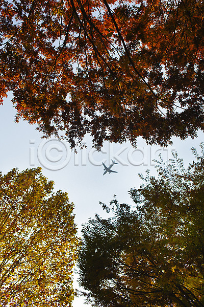 사람없음 JPG 포토 가을(계절) 거리 나무 단풍 비행기 서울 야외 올림픽공원 주간 풍경(경치) 하늘