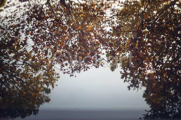 사람없음 JPG 포토 가을(계절) 나무 단풍 단풍나무 반사 서울 야외 올림픽공원 유리 주간 풍경(경치)