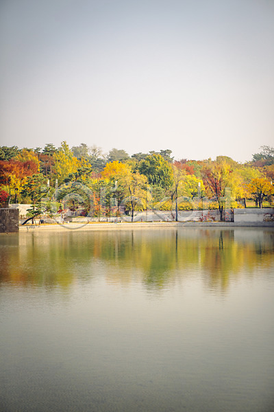 사람없음 JPG 포토 가을(계절) 거리 공원 나무 단풍 서울 야외 연못 주간 풍경(경치) 하늘