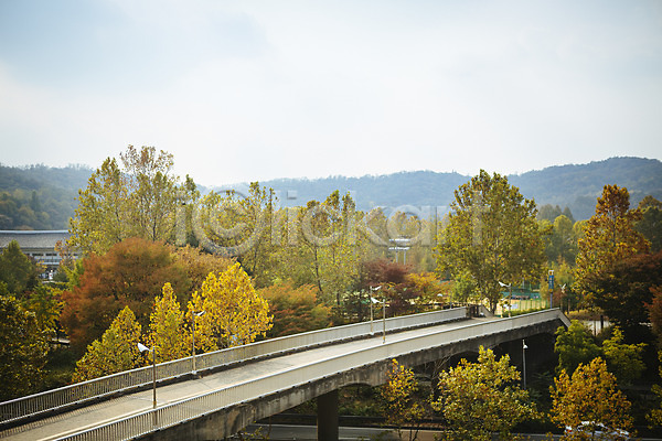 사람없음 JPG 포토 가을(계절) 거리 나무 다리 단풍 산 서울 야외 주간 풍경(경치)