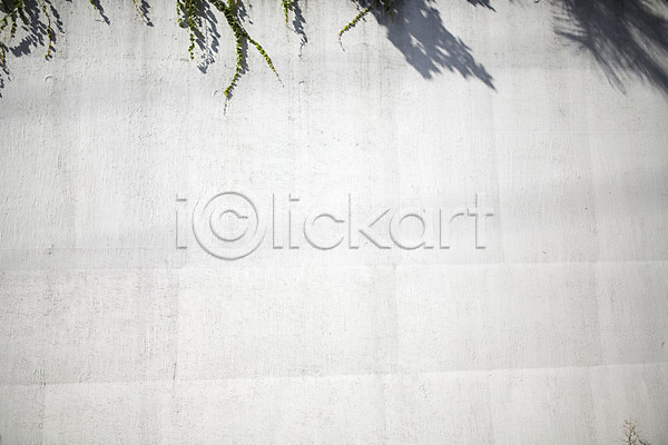 사람없음 JPG 포토 거리 그림자 덩굴 백그라운드 벽 삼청동 서울 야외 인사동 주간 풍경(경치)