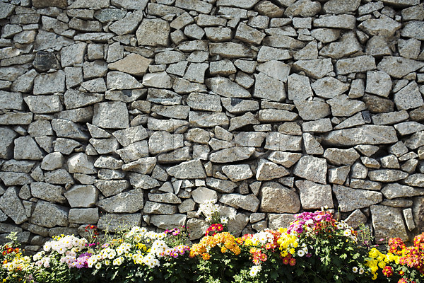 사람없음 JPG 포토 가을(계절) 거리 꽃 담장 백그라운드 벽 벽돌 삼청동 서울 야외 인사동 주간 풍경(경치)