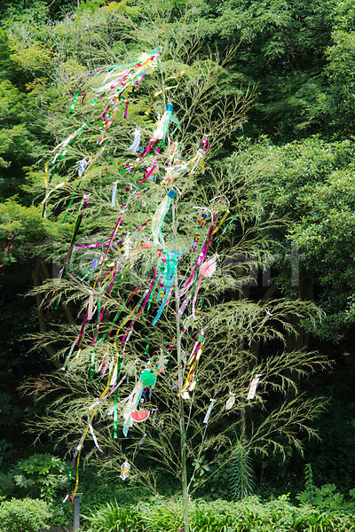 사람없음 JPG 포토 공원 깃발 나무 날리기 숲 야외 일본 자연 주간 풍경(경치)