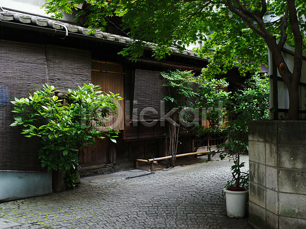 사람없음 JPG 포토 나무 담장 도쿄 야외 일본 일본문화 일본전통 주간 주택 풍경(경치) 화분