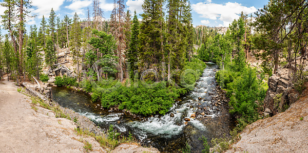 흐름 사람없음 JPG 포토 해외이미지 강 나무 매머드 멸종위기동물 물 숲 야외 자연 초록색 캘리포니아 파노라마 풍경 해외202004 해외포토